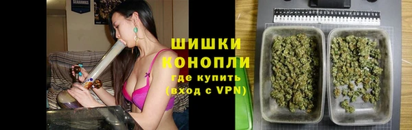 apvp Алексин