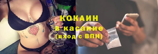 стаф Алзамай