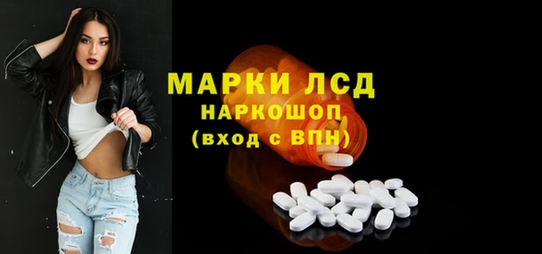 стаф Алзамай
