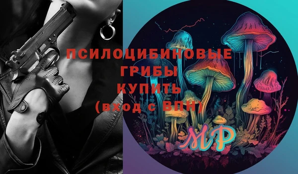 стаф Алзамай