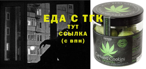 стаф Алзамай